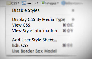 The Web Developer Browser Extension
