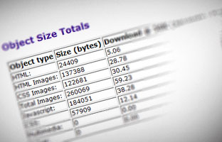 Web Page Speed Report