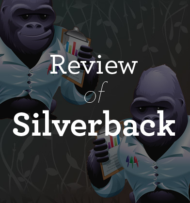 The UX Booth Reviews Silverback