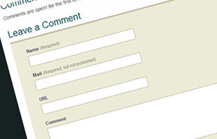 The standard comment form consists of 3 or 4 inputs.